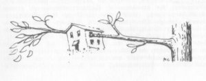 Tree Bough