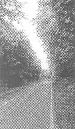Stockbridge Rd an example of a Tree lined access road to the City
