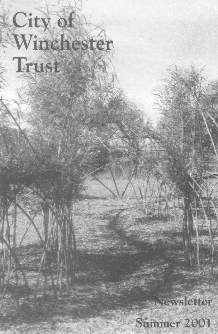 The Willow Dome
