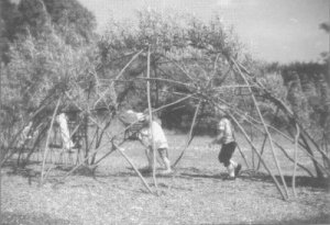 The Willow Dome