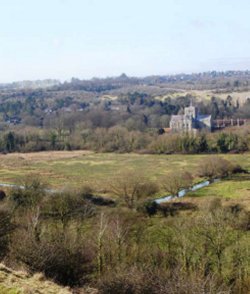 Bushfield