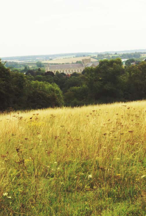 A view of Winchester Cathedral