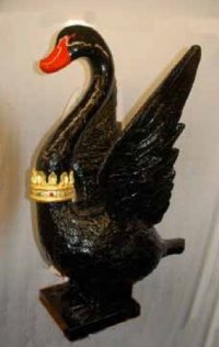 Black Swan carving ready to be mounted