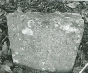 Commerative Stone