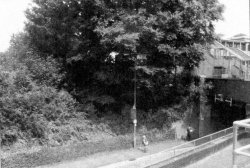 Cranworth Road