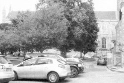 Cathedral precinct