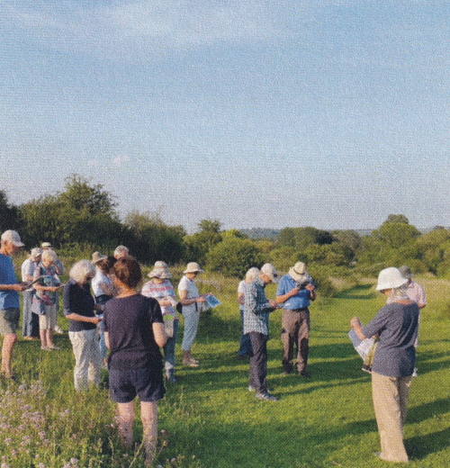 Bushfield Down Walkers