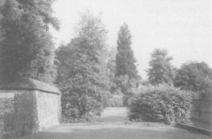 The garden behind No.9 The Close