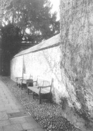 Repairs to Boundary Walls