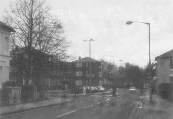 Trees planted in Eastgate Street