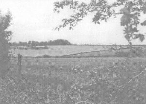 Barton Farm