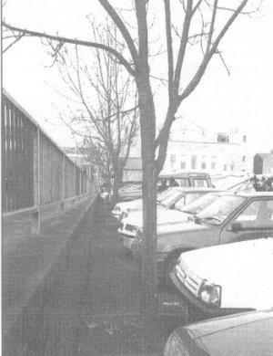 Damage caused by parking cars in Middle Brook Street Car Park