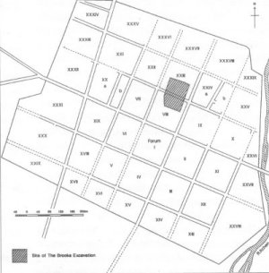 Site of Brooks Excavation