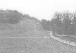 Landscaping the old by-pass
