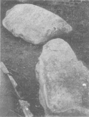 Sarensen Stones, Abbey Gardens