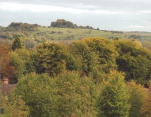 St Catherine's Hill