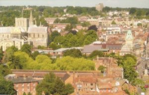 Ridge of trees around City Centre