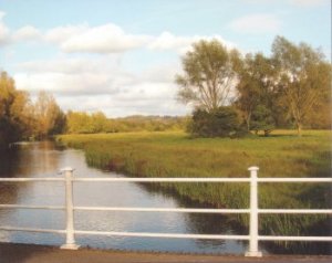 River Itchen looking north, Five Bridges Road