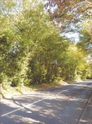 Pitt Manor Site, Romsey Road boundary