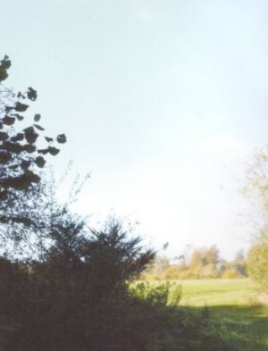 View of Pitt Manor site from Pitt