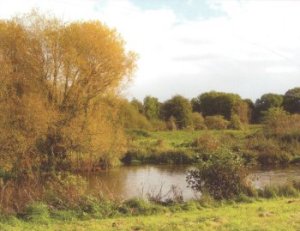 Water meadows