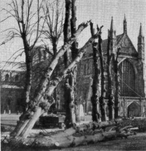 View of cathedral